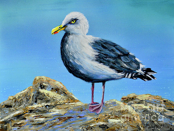 Seagull Lookout by Mary Scott Seagull Lookout by Mary Scott